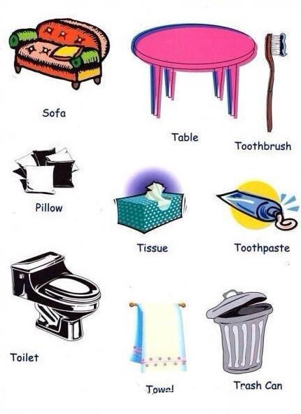 A Visual Guide to Everyday Household Items